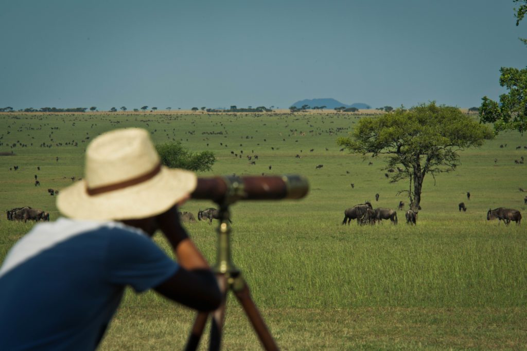 Safari gear 4 of the Best binoculars for an African safari